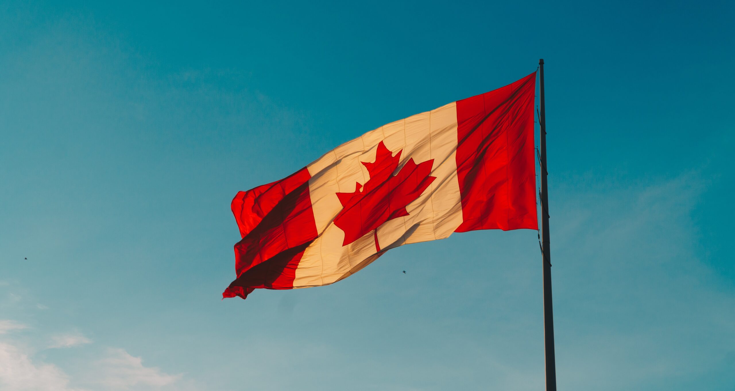 the Canadian flag floating in a clear blue sky